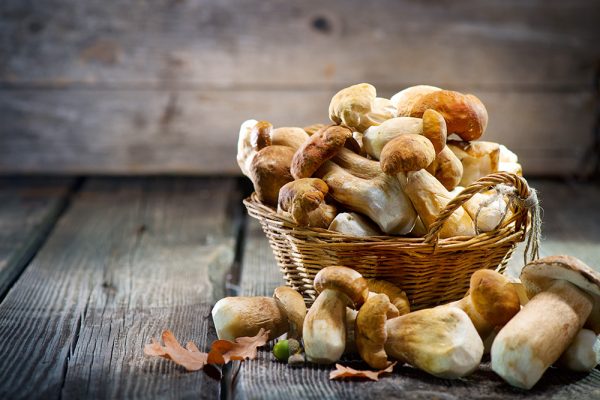 A basket of mushrooms