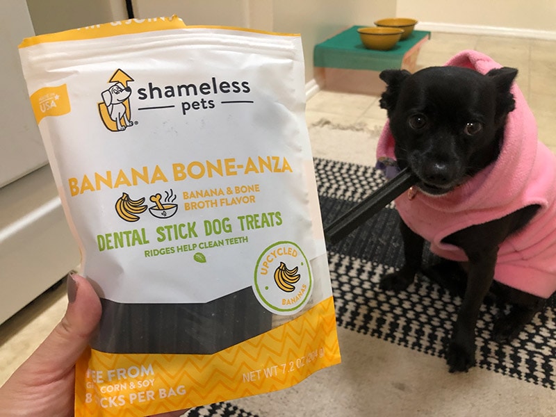 a black dog eating shameless pets dental treat
