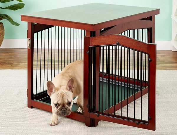a dog going out from a dog crate