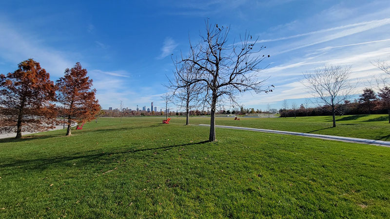 a field on governor's island during early winter