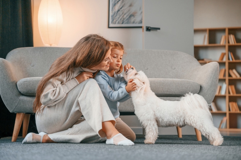 a girl with her mother giving treats to maltese dog