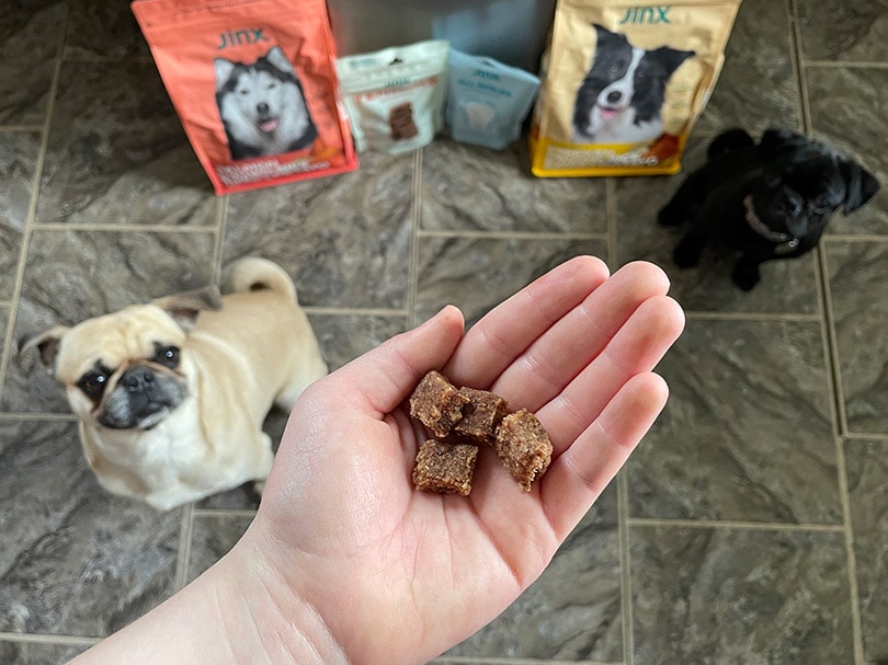 a hand holding a jinx bites chicken jerky recipe treats