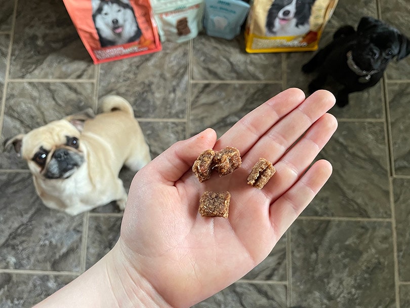 a hand holding a jinx bites treat