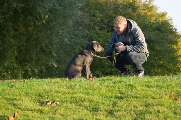 a man and his pet sitting on grass