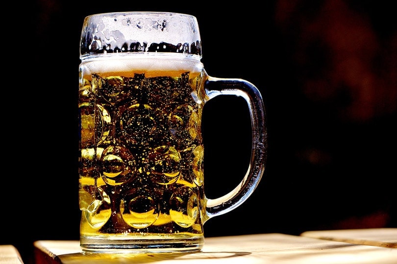 a mug of beer