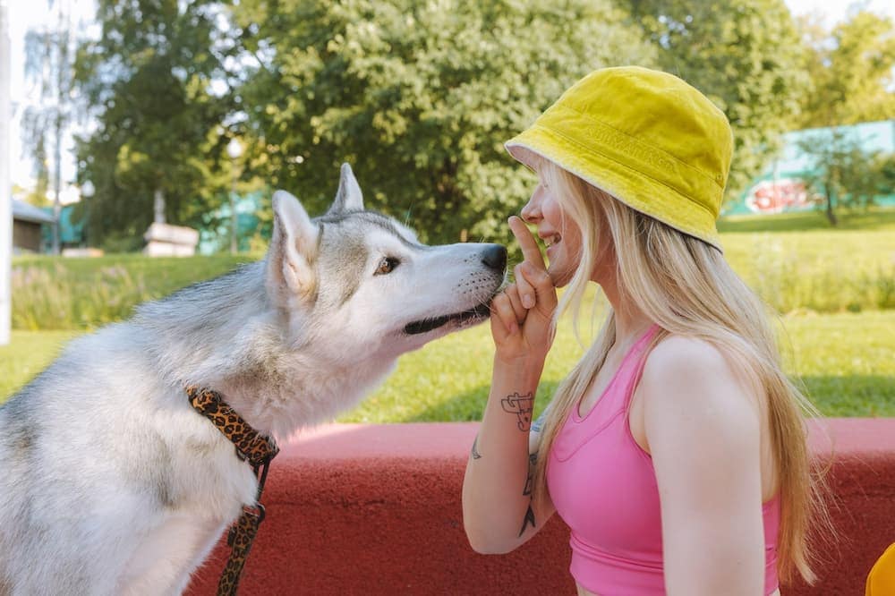 a person and a dog