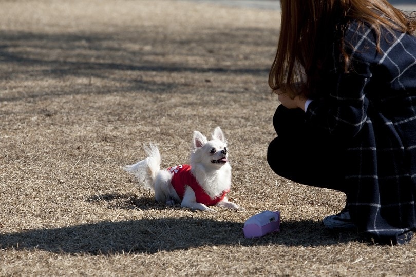 a woman with pomeranian dog