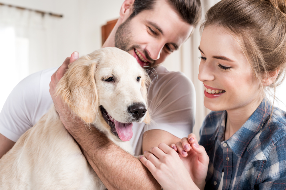a young couple owners with their golden retriever dog