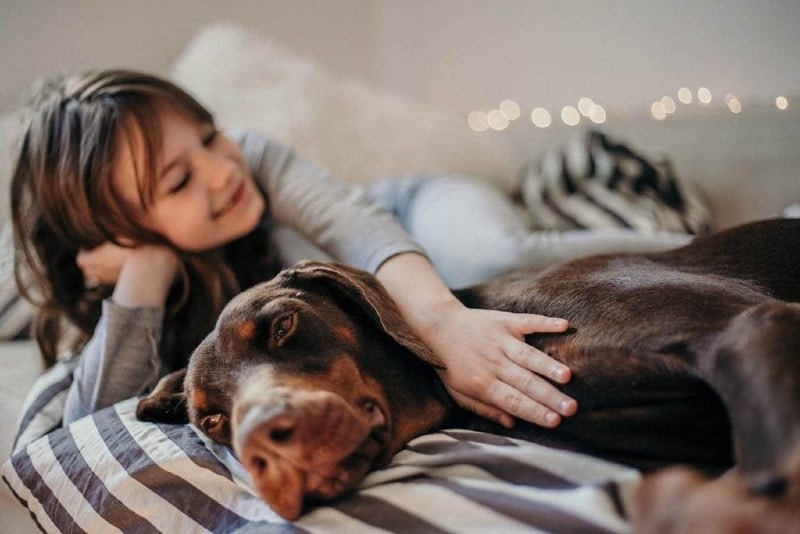 a young girl hugging her pet doberman