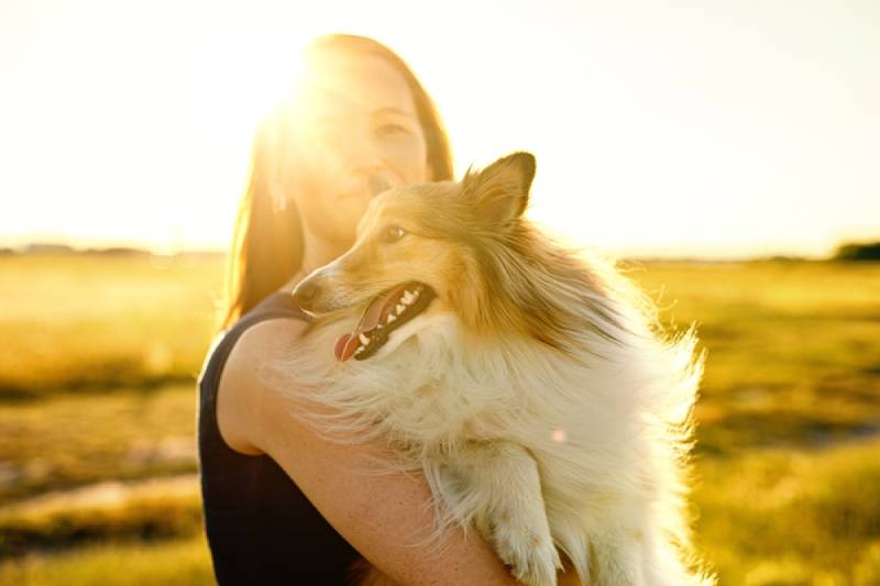 a young woman with pet sheltie in the outdoors