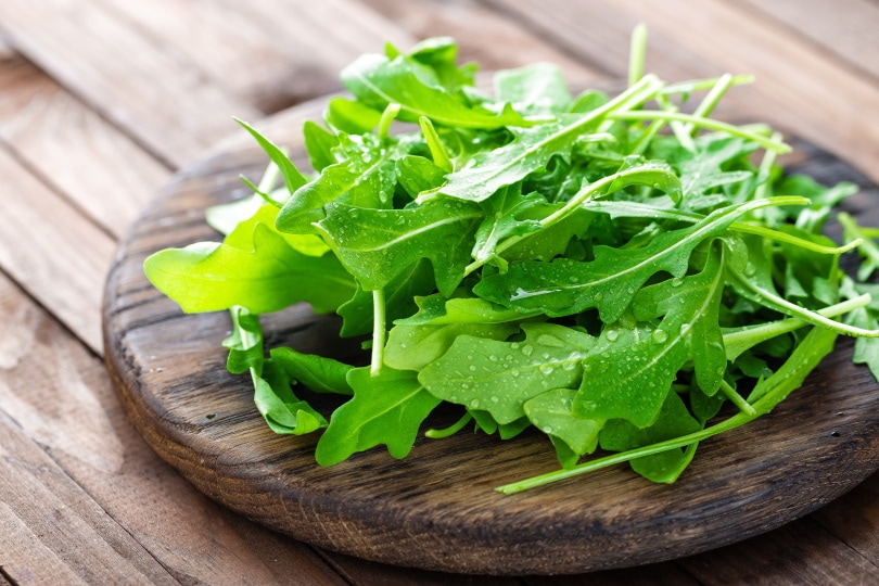 arugula leaves