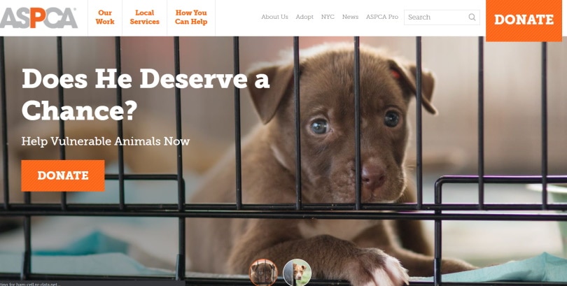 aspca