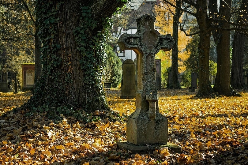 Dead Things