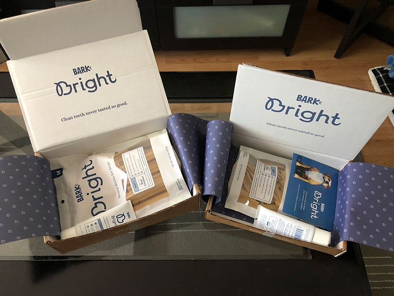 bark bright dental sticks packaging