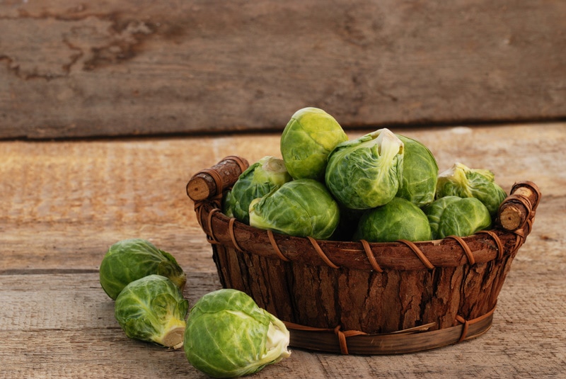 basket of fresh brussels sprouts