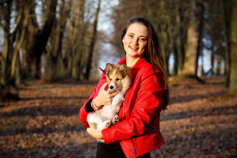 beautiful woman hugging a sheltie puppy outdoors