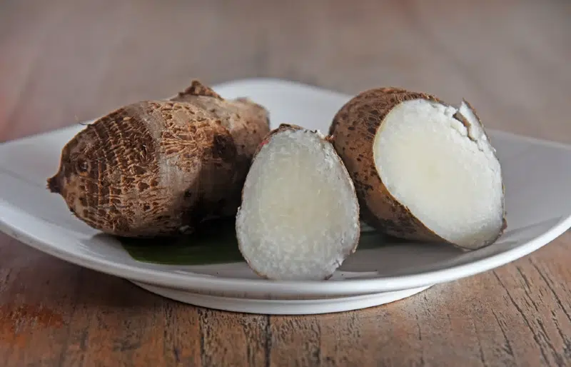 boiled cooked taro root crop on plate