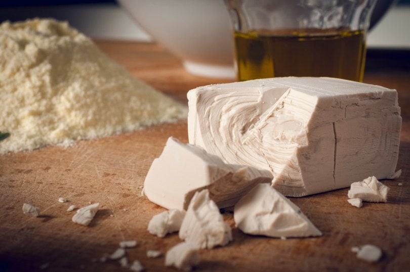 brewer's yeast II_Cristian Storto_Shutterstock