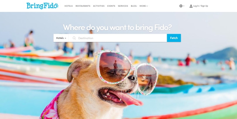bringfido