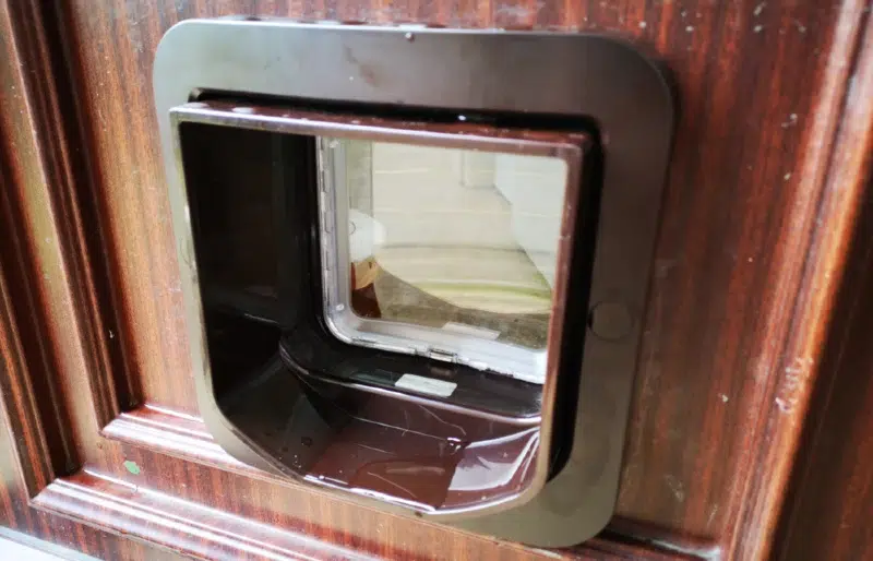 brown pet door flap