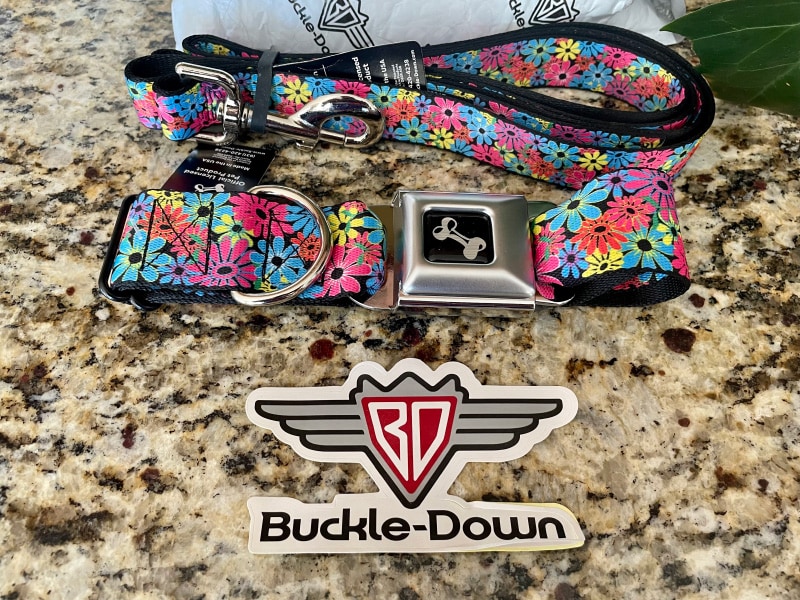 buckle-down contents