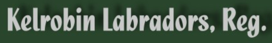 kelrobin