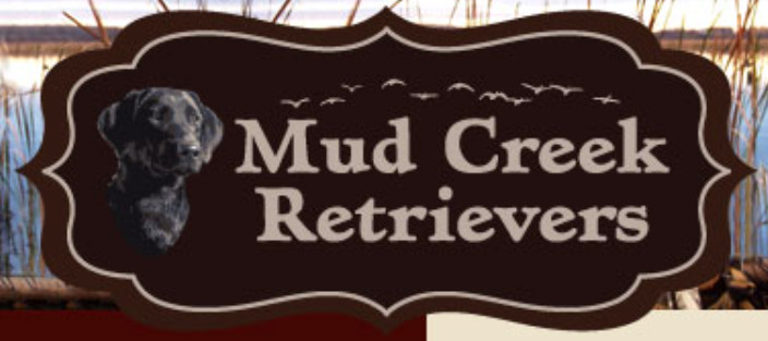 mud creek retrievers