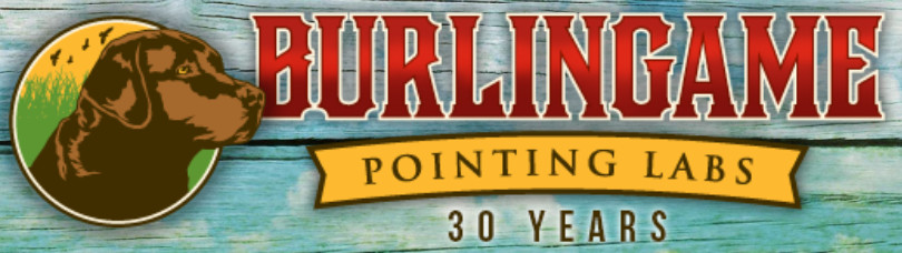 burlingame labs