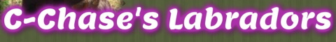 c-chase labrador logo