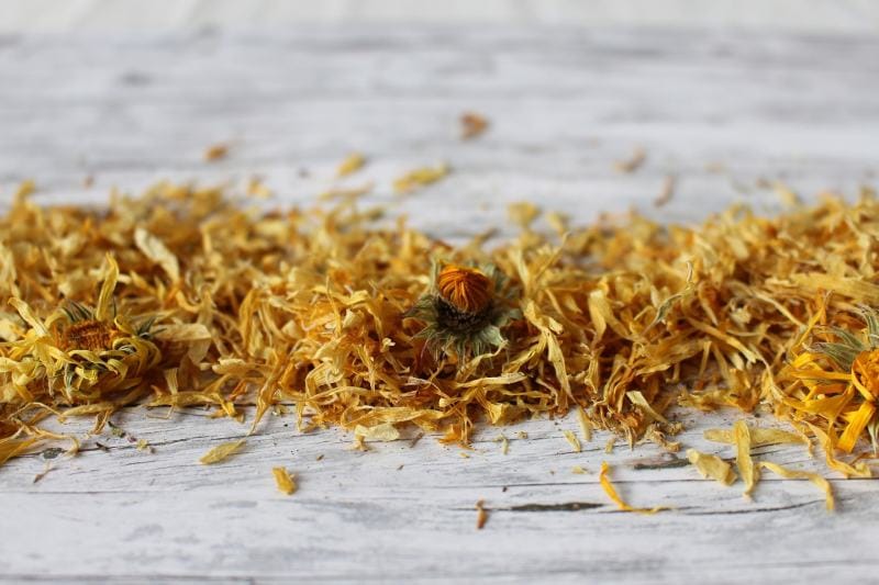 calendula herb