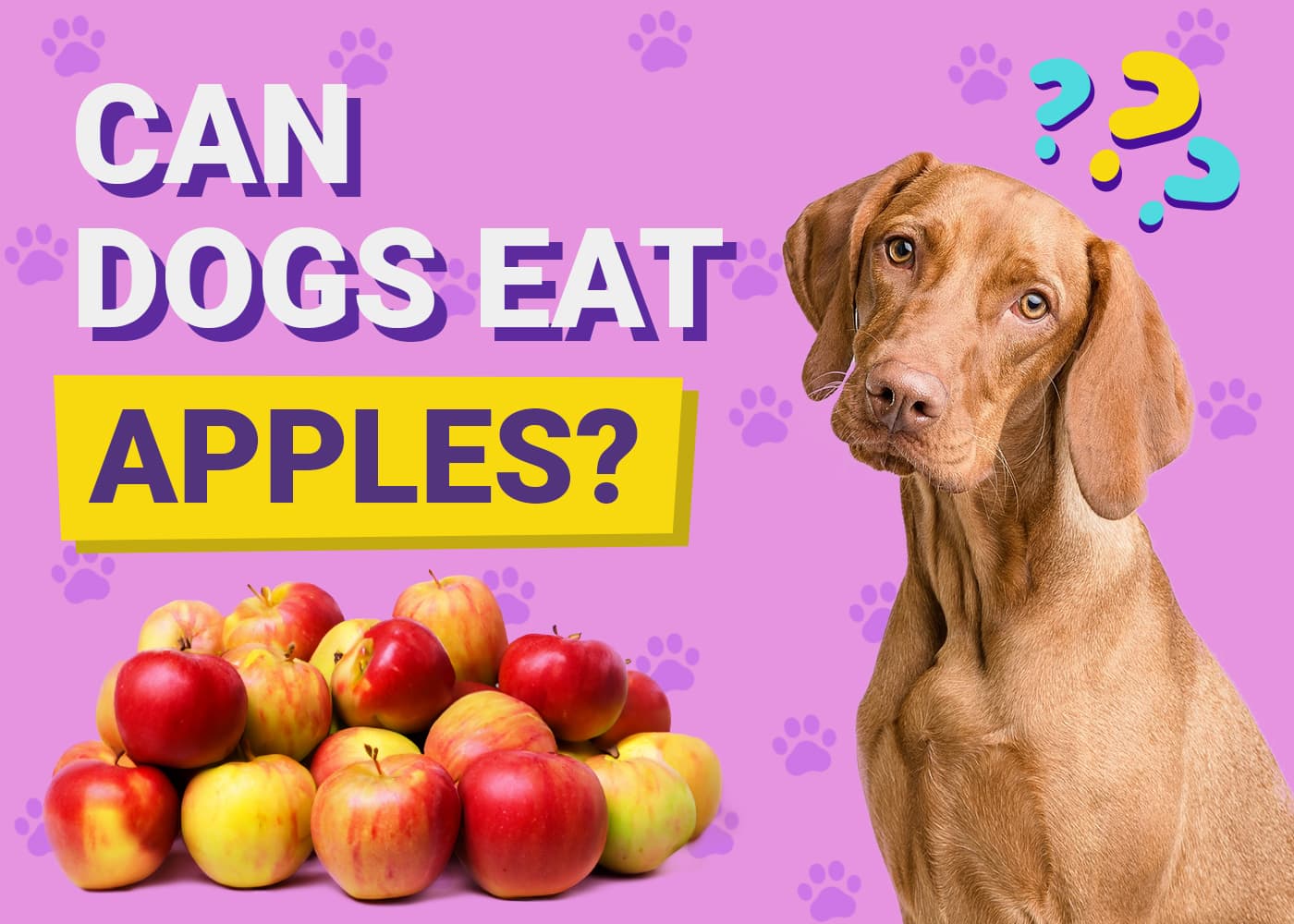 Can Dogs Eat Apples