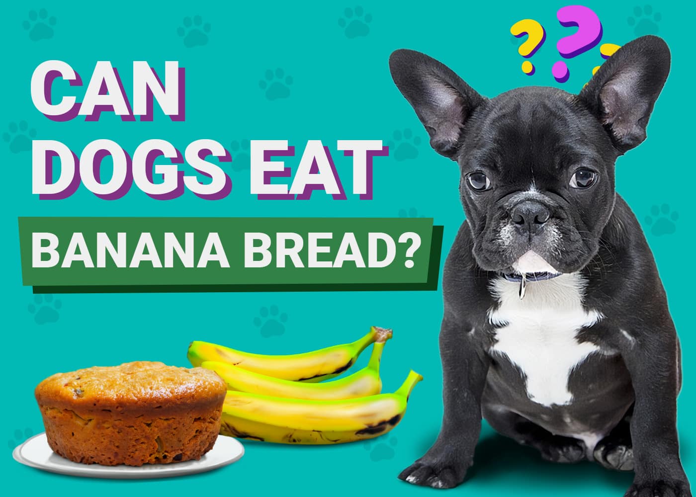 Can Dogs Eat Banana Bread
