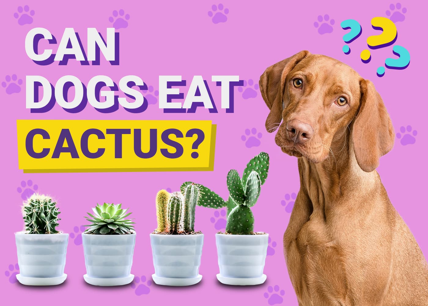 Can Dogs Eat Cactus