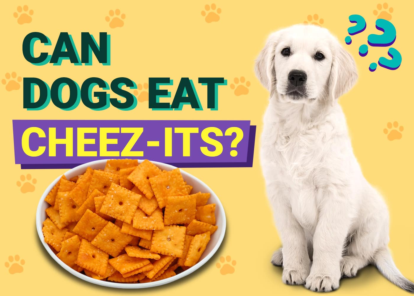 Can Dogs Eat Cheez-Its