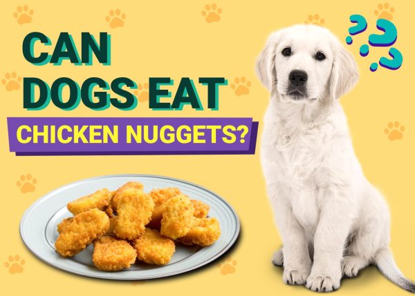 Can Dogs Eat Chicken Nuggets