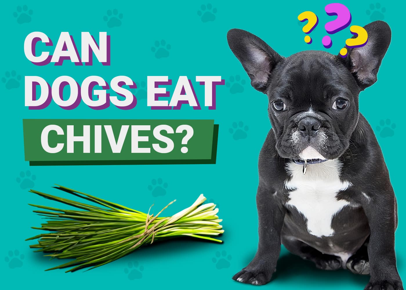 Can Dogs Eat Chives