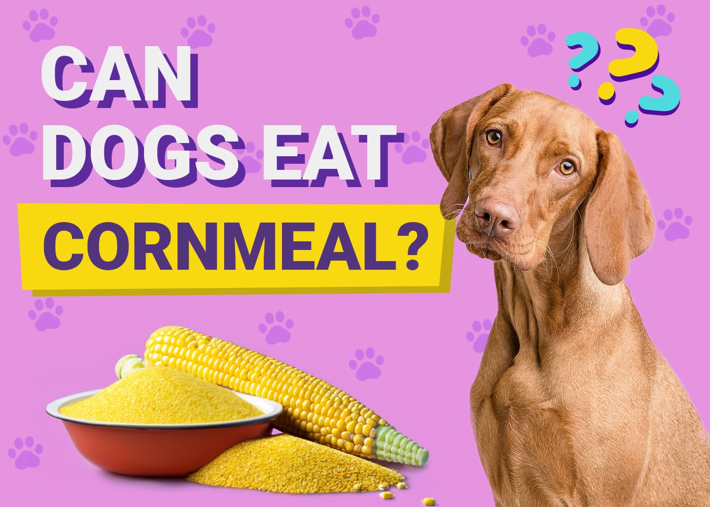Can Dogs Eat Cornmeal