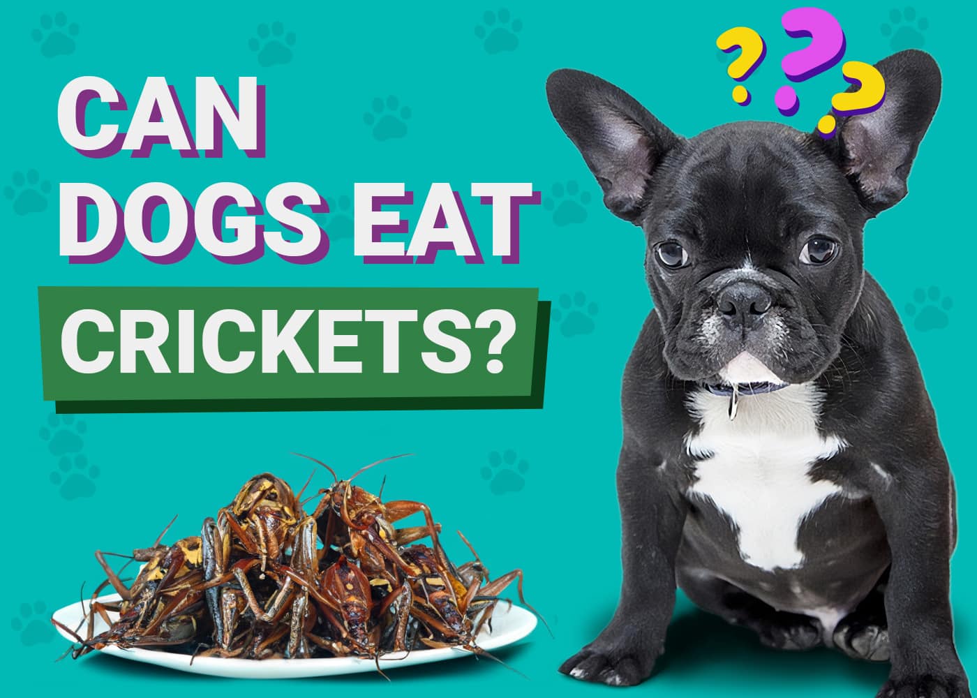 Can Dogs Eat Crickets