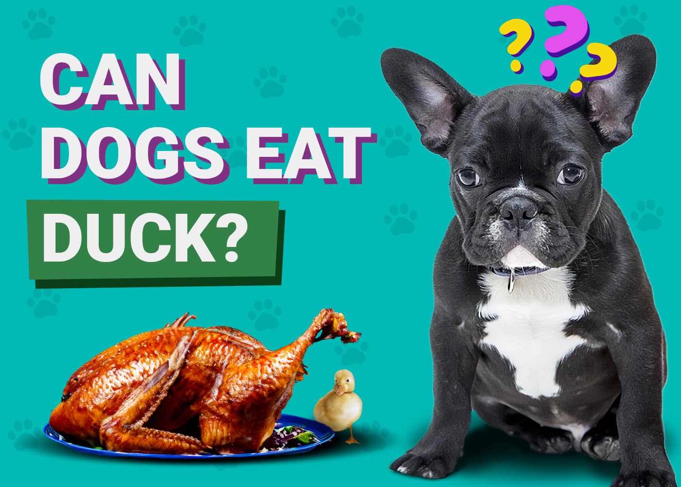 Can Dogs Eat Duck Vet Verified Health Benefits Dogster