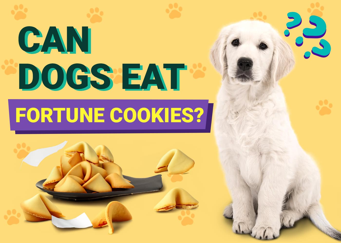 Can Dogs Eat Fortune Cookies