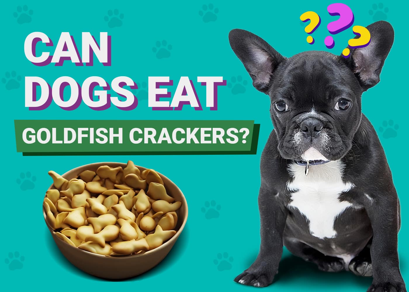 Can Dogs Eat Goldfish Cracker