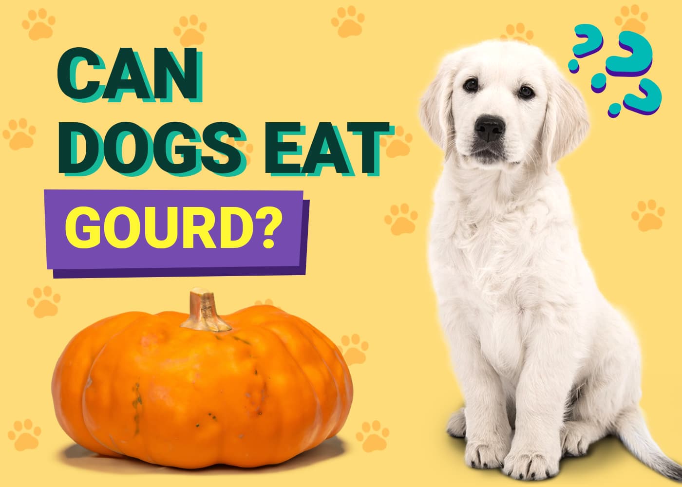 Can Dogs Eat Gourds