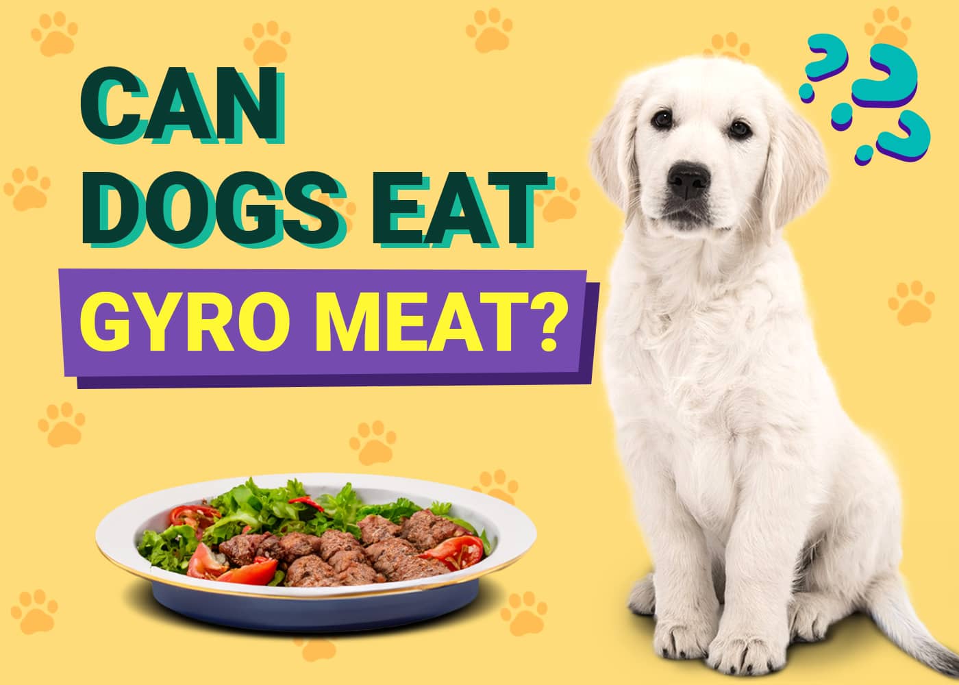 Can Dogs Eat Gyro Meat