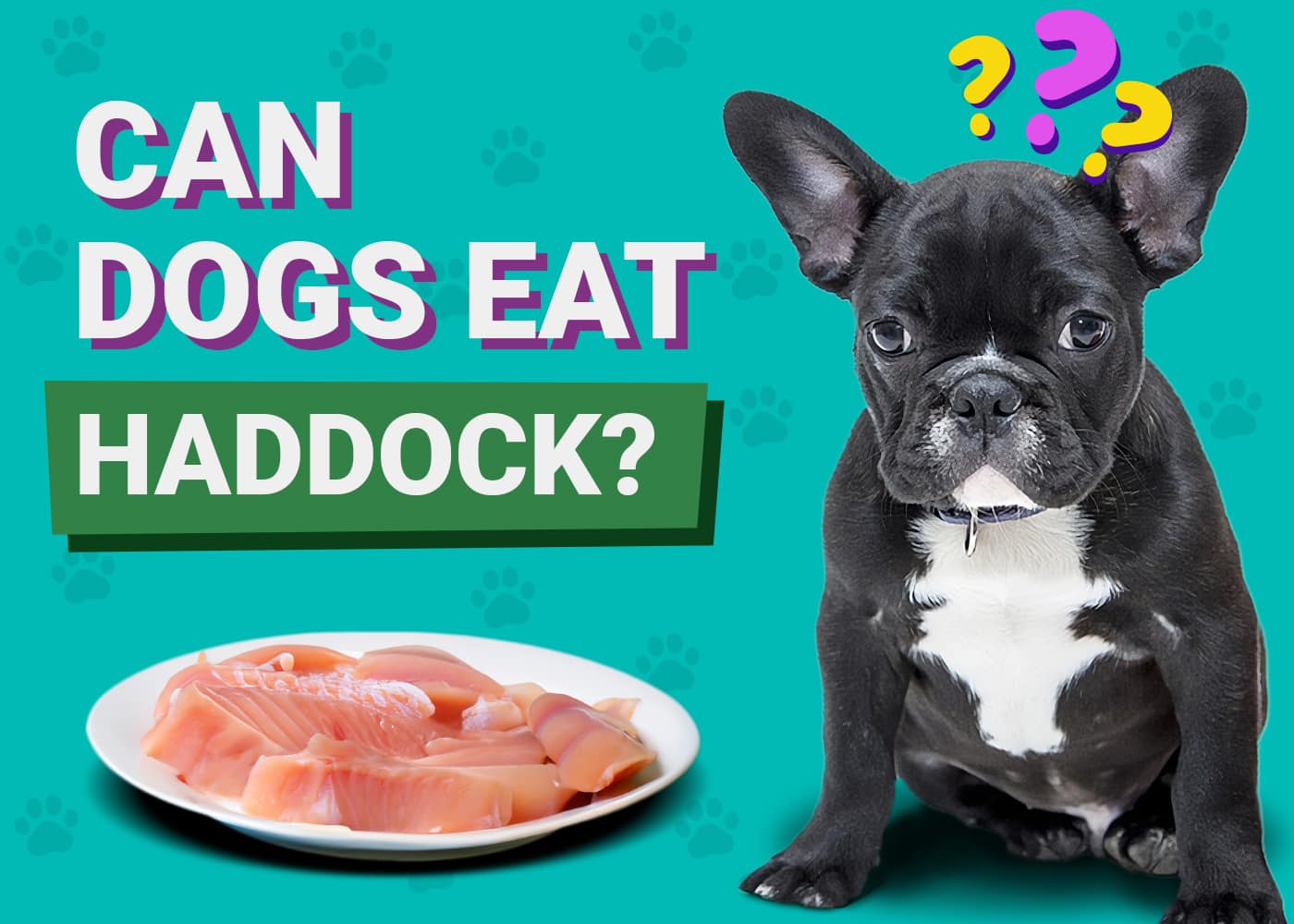 Can Dogs Eat Haddock? VetApproved Nutritional Facts & FAQ Dogster