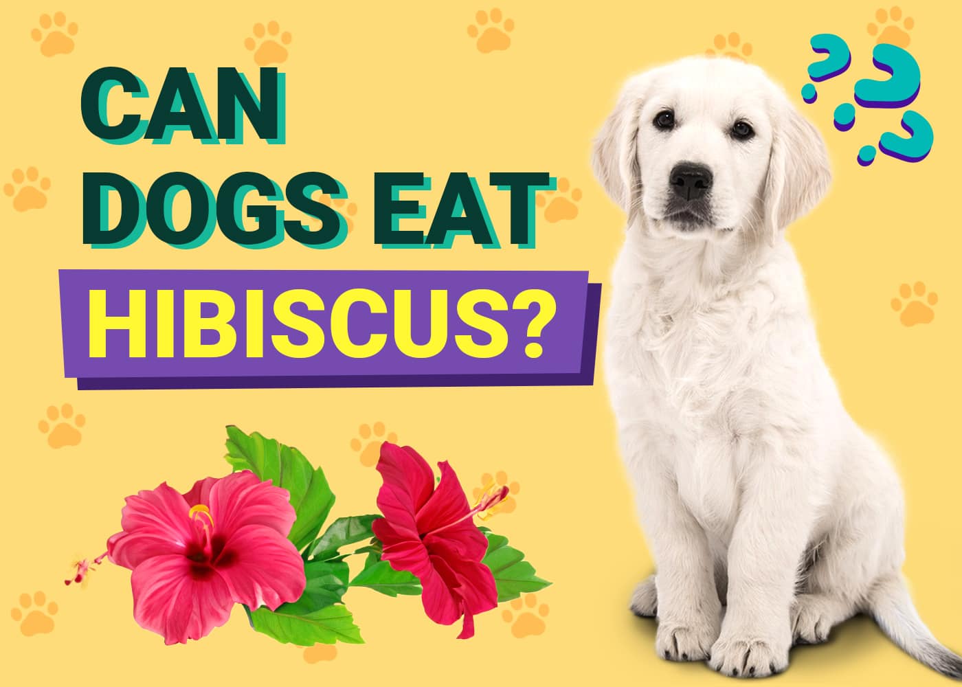 Can Dogs Eat Hibiscus