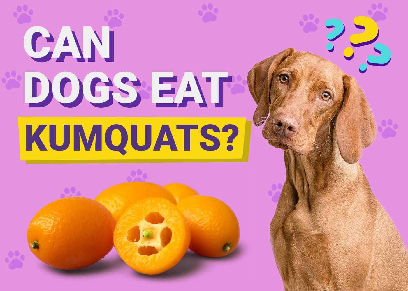 Can Dogs Eat Kumquats