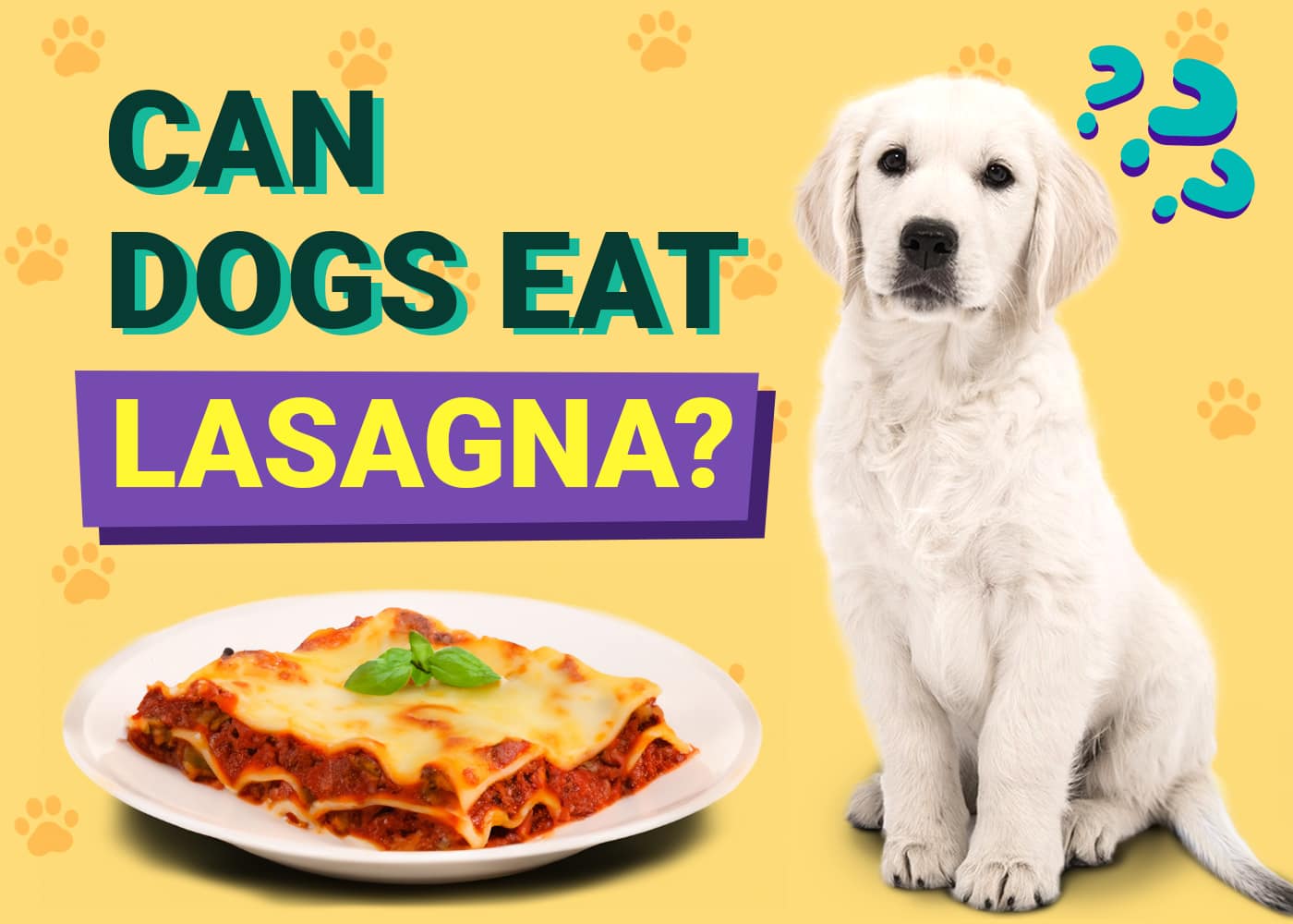 Can Dogs Eat Lasagna
