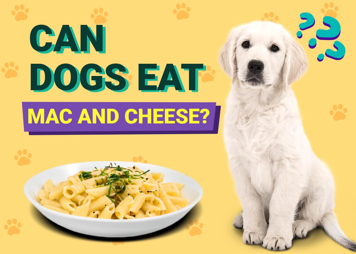 Can Dogs Eat Mac and Cheese