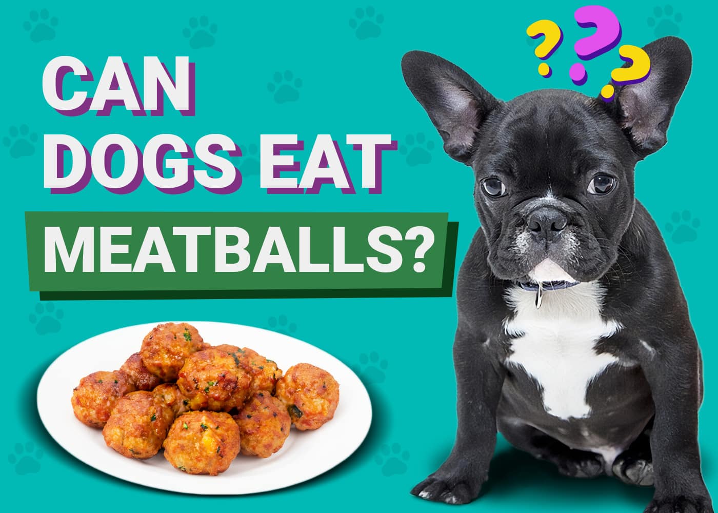 Can Dogs Eat Meatballs