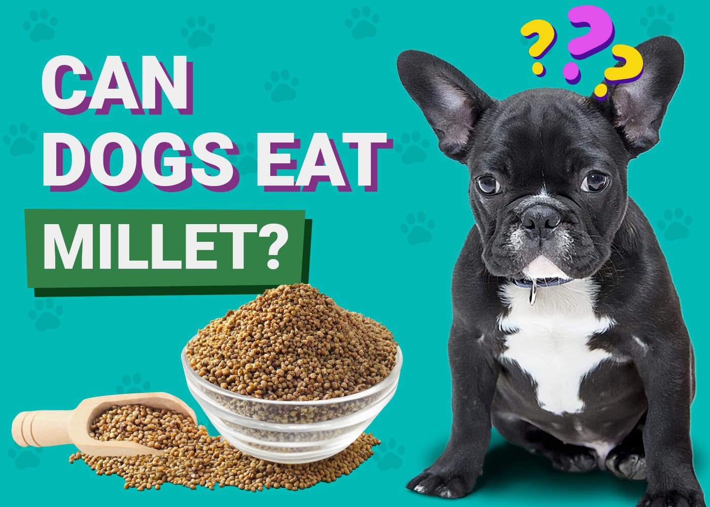 Can Dogs Eat Millet